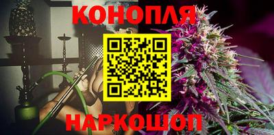 крисы Будённовск