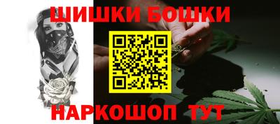 крисы Будённовск