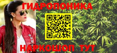 стафф Бузулук